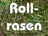 Orthey-Rollrasen