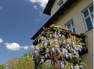 Landhaus Maria, Pension / Fremdenzimmer in ruhiger Lage am Elbhang in Dresden 